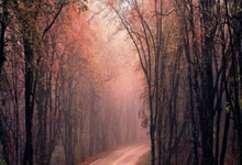 巴黎FC欧战大好，联赛夺冠前景乐观