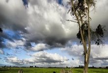 胜负难料的足球比赛将掀起高潮